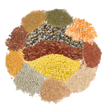 Different types of millets